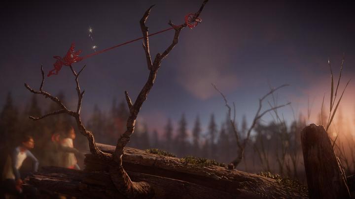 Immagine prodotto EA Games Unravel Two (Switch, Switch Lite, Switch OLED, EN)