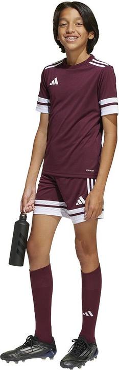 Actual product image adidas Squadra 25 Short Kids (152)