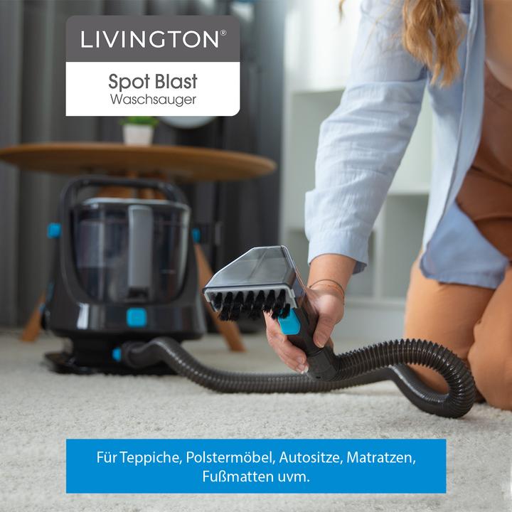 Immagine prodotto Livington Spot Blast