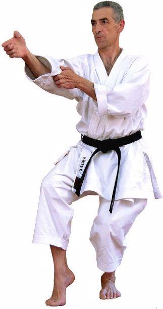 Actual product image Kaiten Karategi Sovereign Superior (M, L)