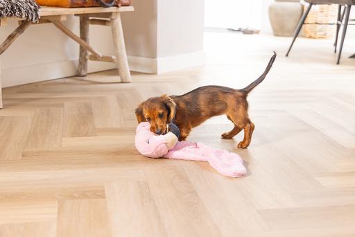 Actual product image Beeztees Puppy Flatino Flamingo Fe (Puppy Toy)