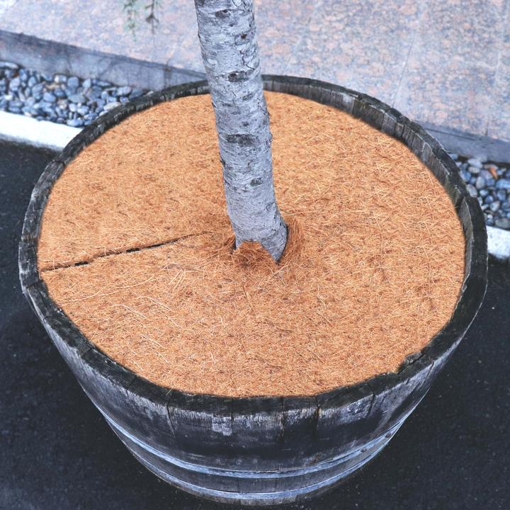 Immagine prodotto Aquagart 4 Kokos Mulchscheiben 30cm Kokofasermatte Kokosfaser Pflanzenschutzmatte Kokos