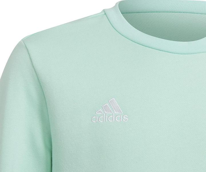 Actual product image adidas Entrada 22 sweatshirt kids (164)