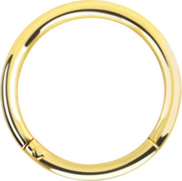 Actual product image Star Piercing Micro segment ring hinged gold plated (925 sterling silver, without brass)