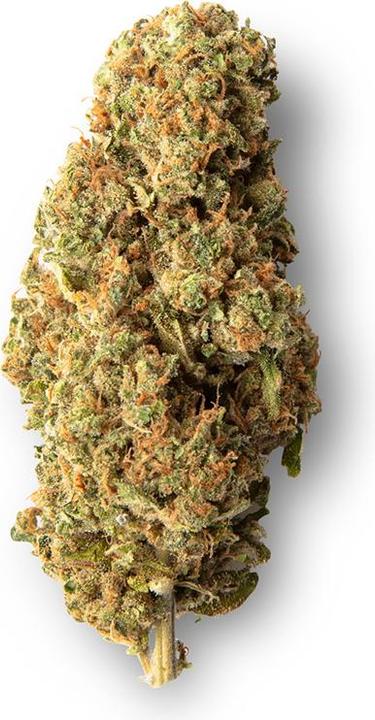 Actual product image Sweed Super Silver Haze (10 g, Indoor)
