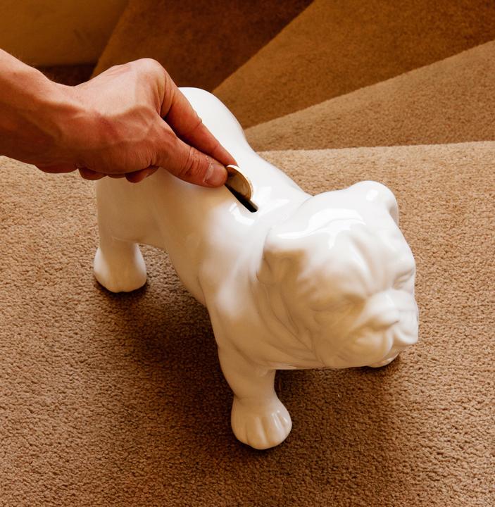 Produktbild Suck UK Bull Dog Money