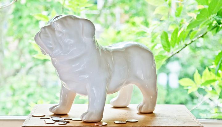 Produktbild Suck UK Bull Dog Money