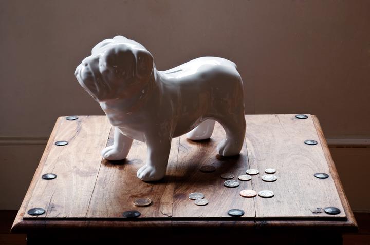 Produktbild Suck UK Bull Dog Money