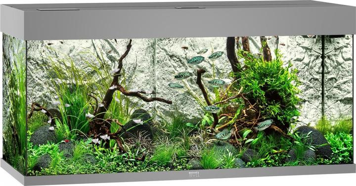 Image du produit Juwel Aquarium Rio (180 l)