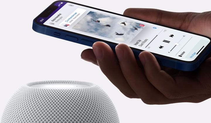 Productafbeelding Apple HomePod mini (Apple Thuis)