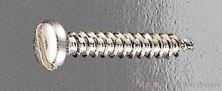 Actual product image Epower ES self-tapping screws 2.2x6.5 (10 Screws per piece)