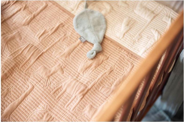 Image du produit Jollein Couverture Jersey (100 x 150 cm)