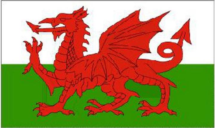 Image du produit Generic Drapeau national du dragon gallois