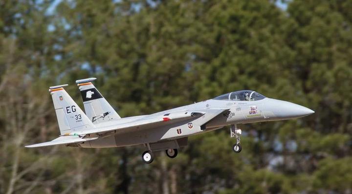 Image du produit Freewing F-15C Eagle Super Scale High Performance 90mm EDF Jet (9B) - PNP (Avion à réaction)