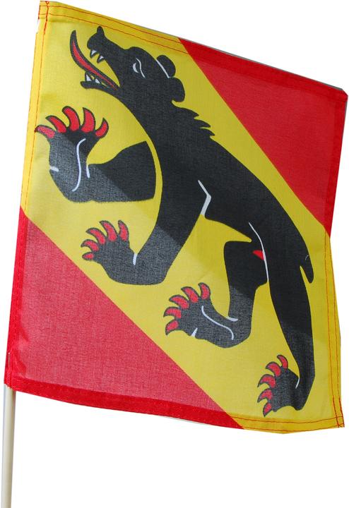 Produktbild Hauser Fahne BE, Stoff, 30x30 cm