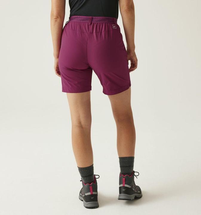 Image du produit Regatta Mountain Shorts II (XS)