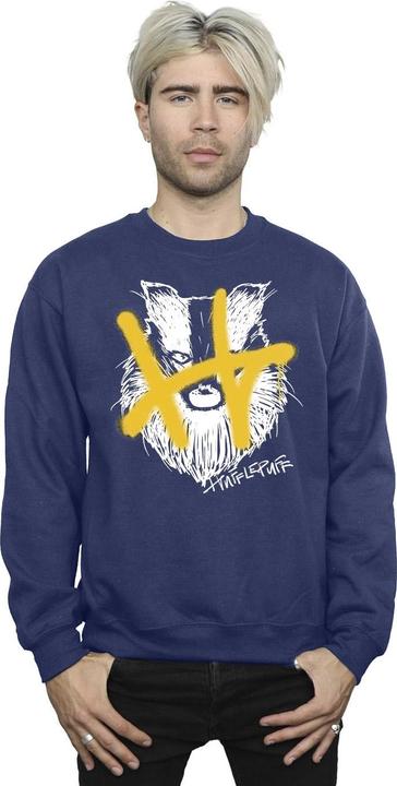 Produktbild Hufflepuff Pop Spray Sweatshirt (S)