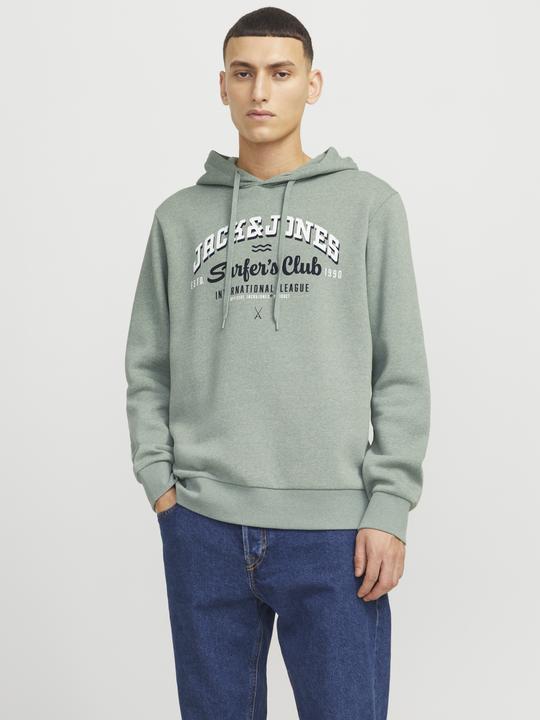 Produktbild Jack & Jones JJELOGO SWEAT HOOD 2 COL 24/25 NOOS (M)