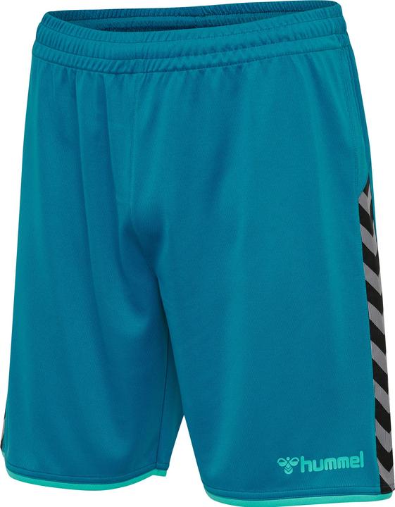 Actual product image hummel Sports shorts (XXL)