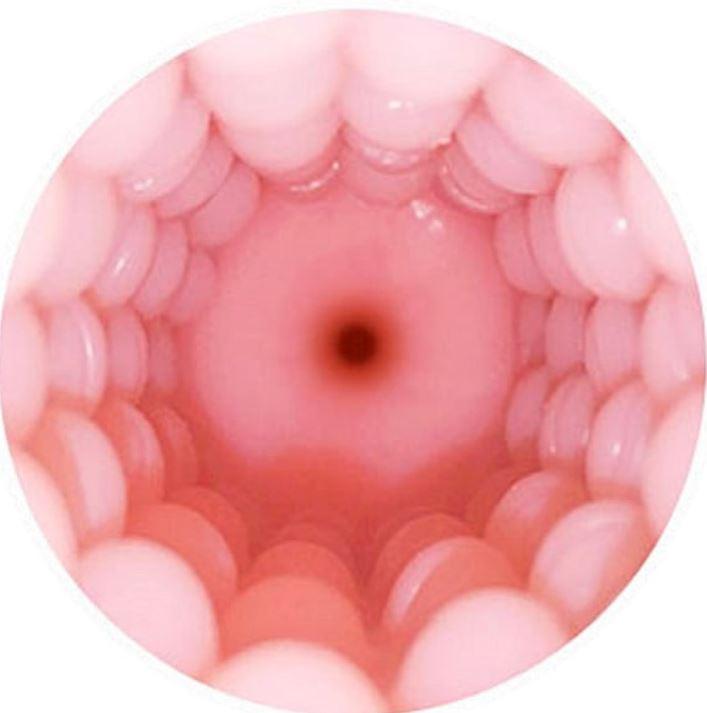 Produktbild Lovense Vagina Sleeve