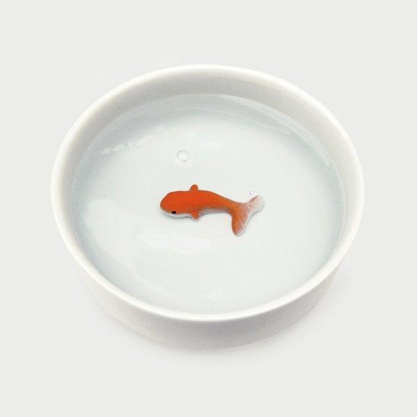 Produktbild Suck UK Fish Pet