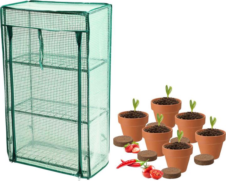 Actual product image ProGarden Mini Gewächshaus mit Anzuchtset - Tomate, Erdbeer und Chilis
