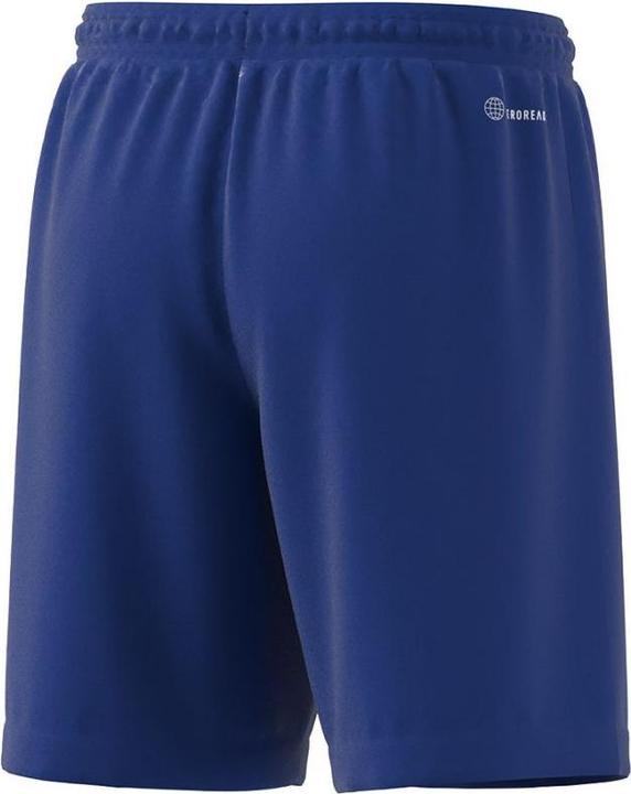 Actual product image adidas Entrada 22 Shorts (116)