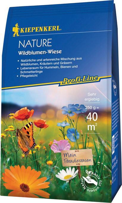 Produktbild Kiepenkerl Blumenwiesensamen P.L. Nature Wildblumen-Wiese 0,25 kg 40 m (Blumenzwiebel)