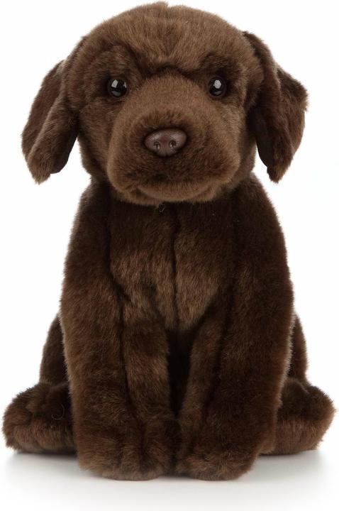 Immagine prodotto Living Nature Labrador al cioccolato (20 cm)