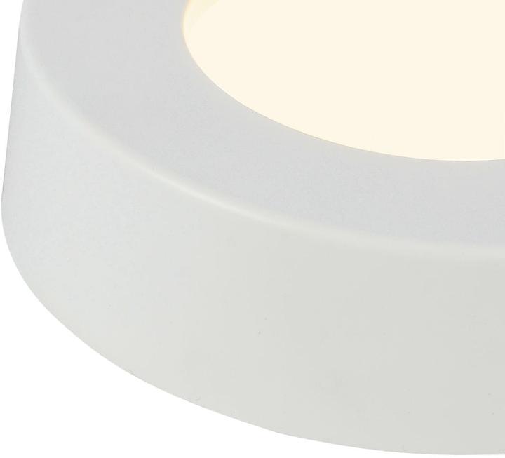 Image du produit Globo Plafonnier Paula (450 lm)