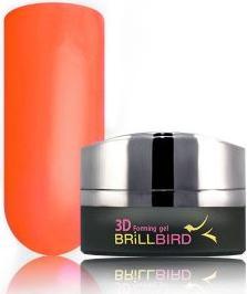 Image du produit BrillBird Gel 3D Forming Orange 3ml (Orange)