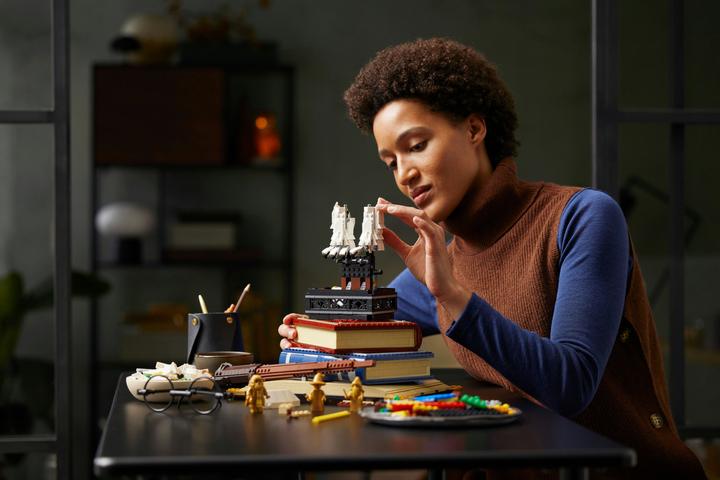 Produktbild LEGO Hogwarts Ikonen - Sammler-Edition (76391, LEGO Harry Potter, LEGO Seltene Sets)