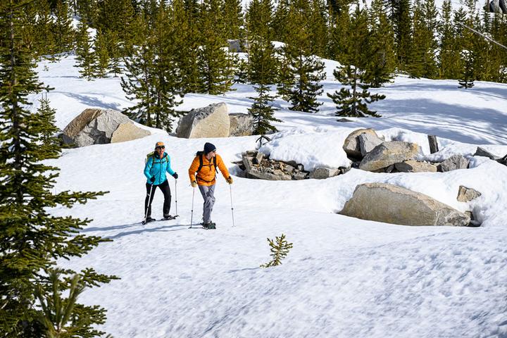 Actual product image Msr Revo Trail (25")