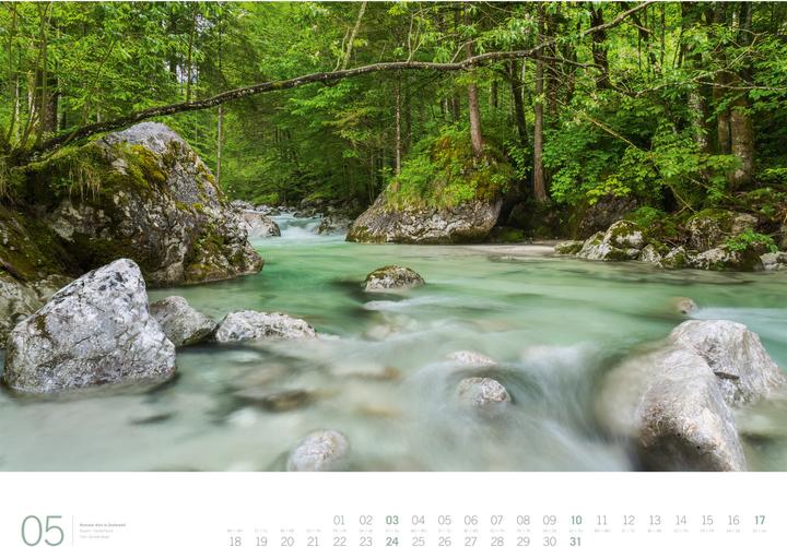 Image du produit Wald - Gallery Kalender 2026 (66 x 50 cm, Couverture rigide, Anglais, Allemand)