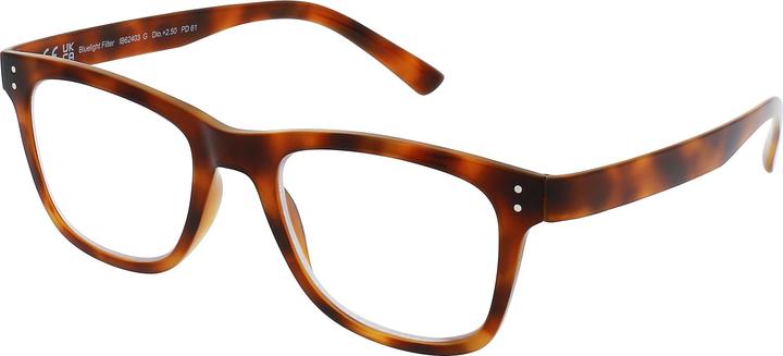 Invu Lesebrille 0.00dpt IB62403P (keine Korrektur)