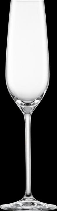 Actual product image Schott Zwiesel Fortissimo champagne glass (24 cl, 4 Glasses, Champagne glasses)