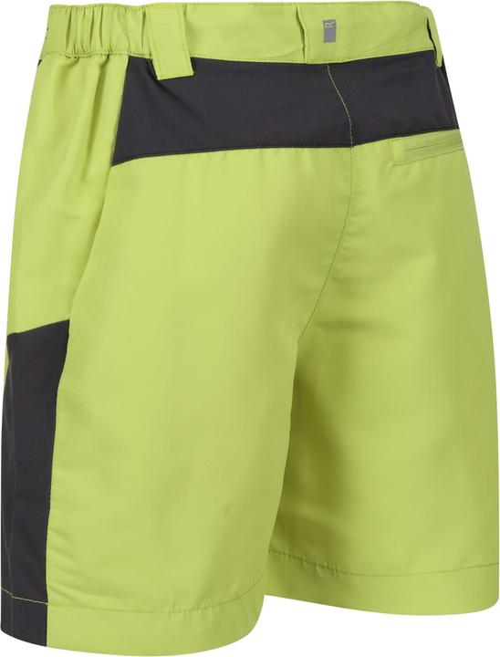 Actual product image Regatta Childrens/Kids Sorcer Mountain III Shorts (170, 176)