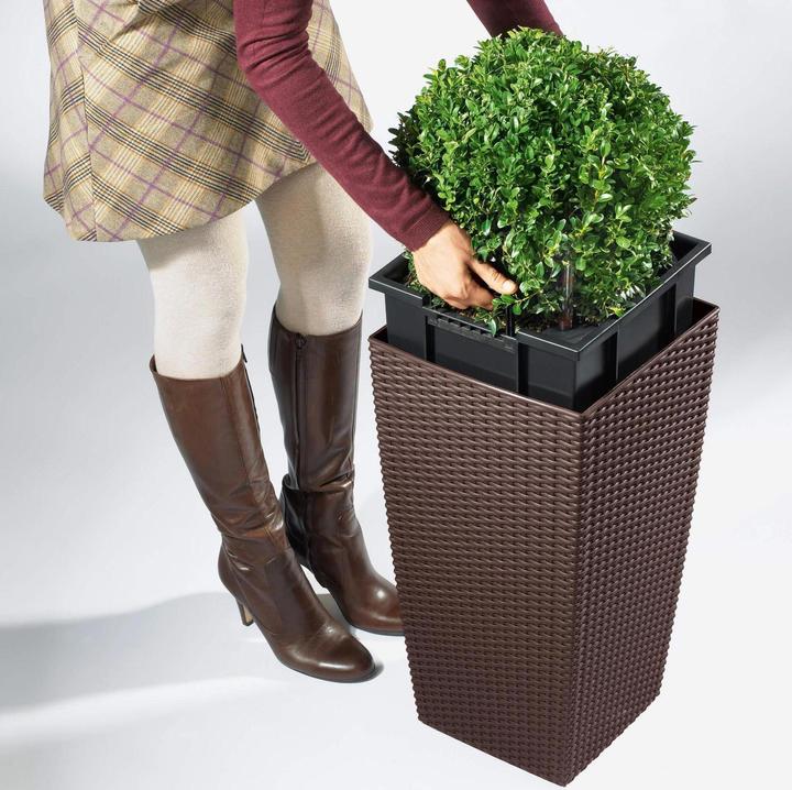 Immagine prodotto Lechuza Cubico Cottage (39.50 cm)