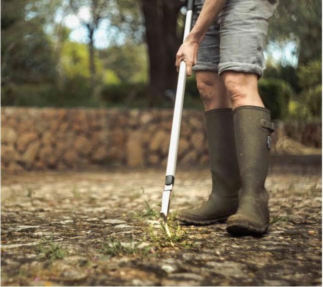 Image du produit Fiskars Xact