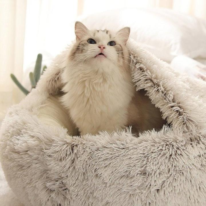 Image du produit Hermex Katzenbett (Chat, Chien)