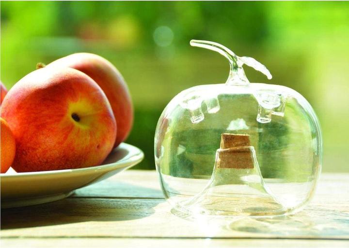 Image du produit Esschert Design Piège à mouches à fruits Pomme