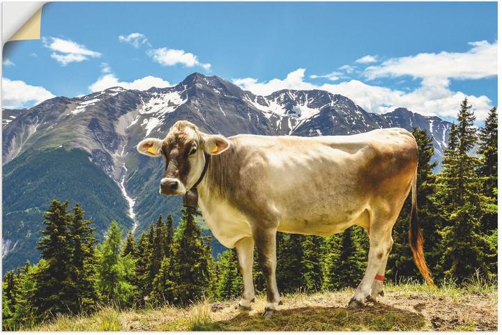 Produktbild Artland Bergkuh in den Alpen im Sommer T1NN (90 x 60 cm)