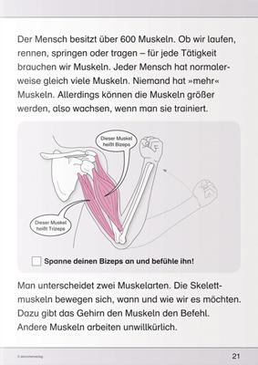 Produktbild Ich kenne meinen Körper - Skelett, Muskeln und Wirbelsäule (Deutsch, Katrin Langhans, 2015)