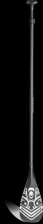 Image du produit Indiana télescope à carbone (220 cm, 3 pièces)