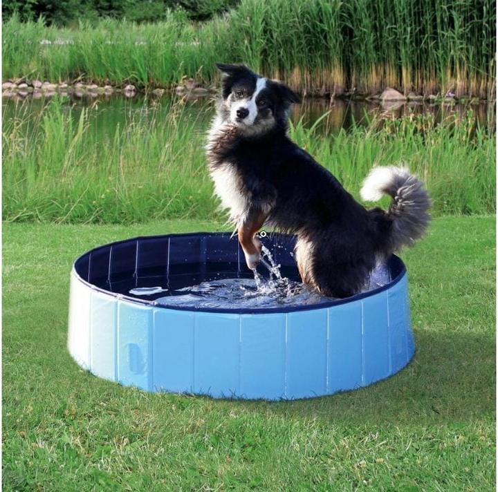 Immagine prodotto Trixie Piscina per cani (Piscina per cani)