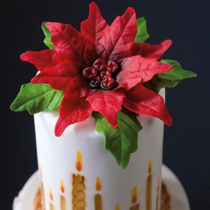 Produktbild Martellato Weihnachtsstern Ausstecher