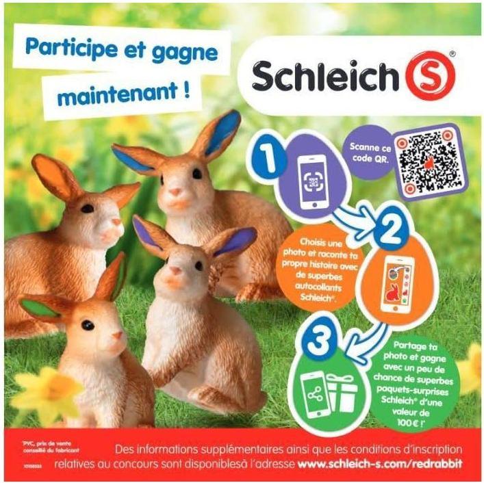 Image du produit Schleich schnauzer nain