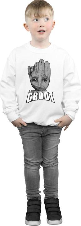Produktbild Guardians Of The Galaxy Groot Face Sweatshirt Jungen (152, 158)