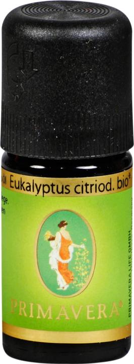 Image du produit Primavera Eukalyptus citriodora* bio