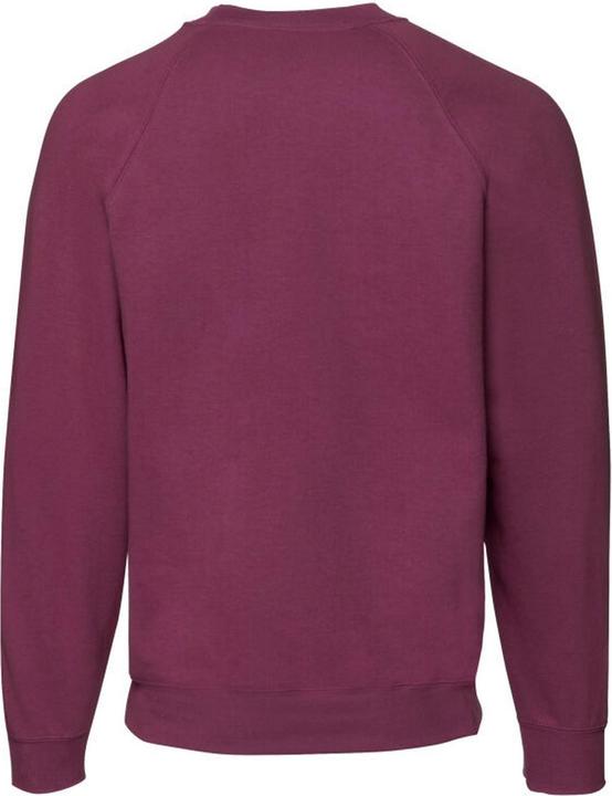 Image du produit Fruit of the Loom - Sweat PREMIUM - Homme (S)